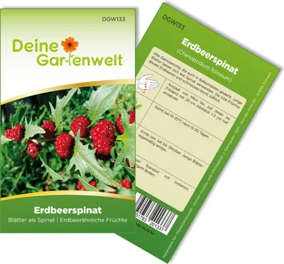 Produktbild von Erdbeerspinat  Samen - Chenopodium foliosum - Erdbeerspinatsamen - Gemüsesamen - Saatgut für 200 Pflanzen