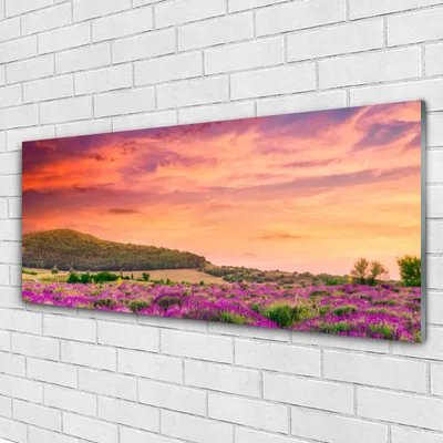 Produktbild von Acrylglasbilder 125x50 Wandbild Druck Wiese Blumen Landschaft