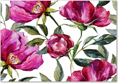 Produktbild von Tulup® Glas-Bild - 100 x 70 - Wandbild aus Glas - Wandkunst - Wandbild hinter gehärtetem Sicherheitsglas - Blumen & Pflanzen - Rosa Pfingstrosen - Rosa