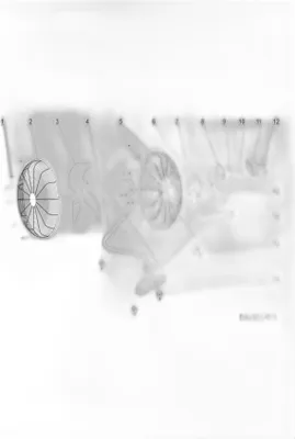 Image de Bouton