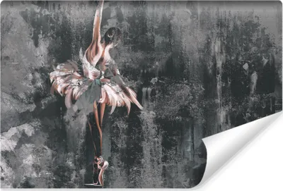 Produktbild von Muralo Selbstklebende Fototapete Für Wohnzimmer BALLERINA Ballet Tanz Beton Abstraktion Br. 135cm x Hö. 90cm