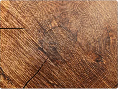Produktbild von Holzmaserungen – Bodenschutzmatte – Stuhlunterlage 120x90 cm – Rutschfest – Hartbodenmatte