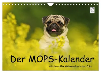 Produktbild von Der MOPS-Kalender (Wandkalender 2027 DIN A4 quer), CALVENDO Monatskalender