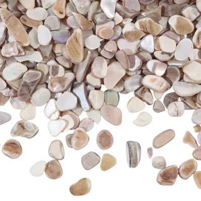 Muschelchips 500 g, 6-9 mm, Perlmutt, für Basteln & Deko