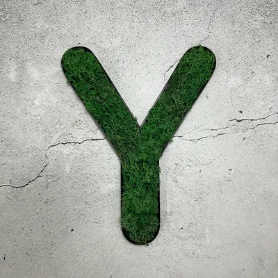 Produktbild von Islandmoos – Buchstabe Y/Grasgrün