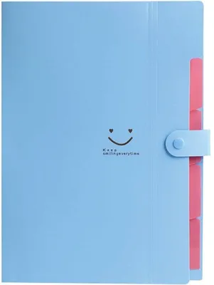 Immagine prodotto di Portadocumenti a 5 scomparti - Cartellina per fogli A4 - Cartellina estraibile con chiusura a scatto - Ideale per l'ufficio domestico - 32,5 cm x 24 cm x 1,7 cm