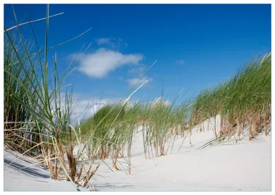 Produktbild von Wallario Premium Glasbild, freischwebende Optik, kräftige Farben, Größe 100 x 70 cm Motiv Düne am Strand unter blauem Himmel