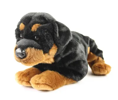 Produktbild von Kuscheltier Rottweiler 38 cm Uni-Toys Hund