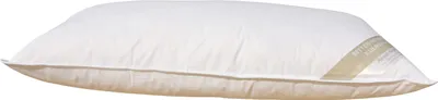 Produktbild von Betten Hofmann Parade Kissen Kopfkissen Polster Federkissen extra fest dick 40x80 800g