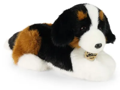 Obrázok produktu pre Plyšový bernský salašnícky pes 22 cm Ekologický