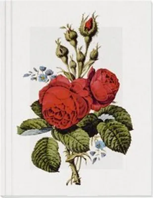 Produktbild von Geschichte der Rose Großes Notizheft (A5) Motiv Moosrose