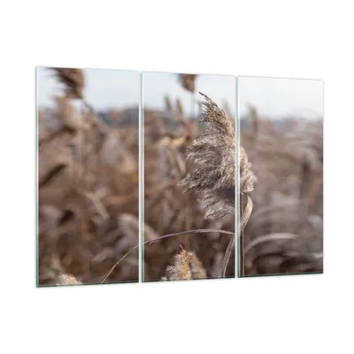 Produktbild von Bilder auf glas - 3 Teile - Boho Ähren Gras - 105x70cm - Glasbilder - Wandbilder - Bilder - zum Aufhängen bereit - Wanddekoration aus Glas - Glas Bilder - Wandbild auf Glas - GCE105x70-4763
