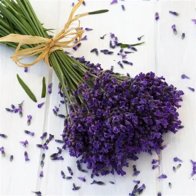 Produktbild von 20 Servietten Lavender - Lavendel auf Holz 33x33cm