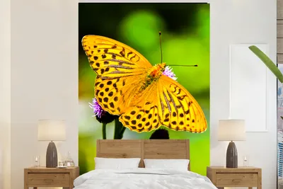 Produktbild von MuchoWow® Fototapete für Wohnzimmer oder Schlafzimmer Wandtapete Vinyl Motivtapete Schmetterling - Tiger - Blume - 145x220 cm - Wanddekoration