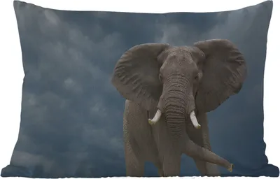 Produktbild von MuchoWow® Outdoor Kissen - Elefant - Wolken - Tiere - Natur - 60x40 cm - Wetterfest - Lounge Kissen - Zierkissen - Kissen für Innenräume
