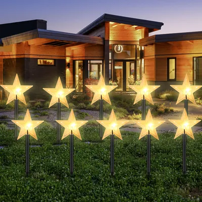 Star-shaped lights are placed in front of a modern house at dusk.