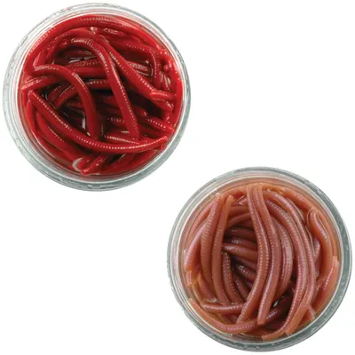 Produktbild von Berkley Gulp! Alive! Angle Worm - 60 Gummiwürmer, Farbe:Natural