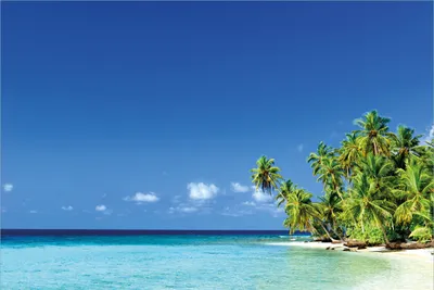 Produktbild von Wallario Premium Vliestapete Fototapete Blauer Himmel weißer Strand Palmen und das tiefblaue Meer in der Größe 400 x 267 cm, extra dick, wird in 5 Teilen geliefert