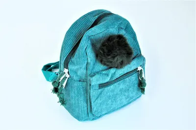 Produktbild von Rucksack Cord Bommel grün