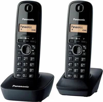 Image de Téléphone sans fil duo dect noir - Panasonic - KX-TG1612FRH -