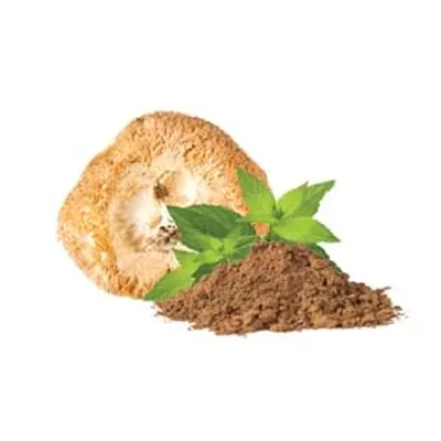 Obrázek produktu pro Hericium prášek100 g MYCOMEDICA