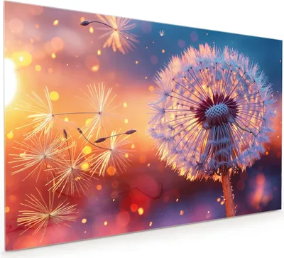 Produktbild von Küchenrückwand Spritzschutz Glas mit Motiv Pusteblume Sonnenuntergang 40 x 40 cm