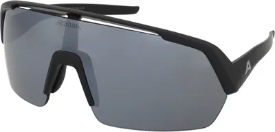 Produktbild von Sonnenbrille Alpina Turbo HR Black Matt