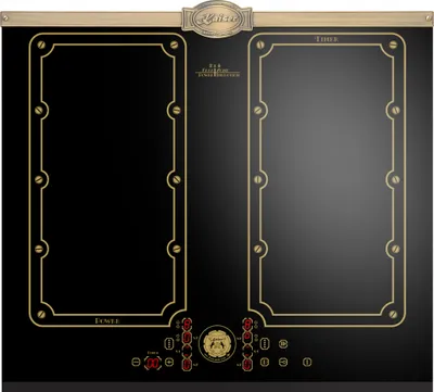A top-down view of a black induction cooktop with gold trim and detailing.