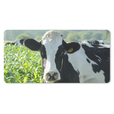Produktbild von MuchoWow® Schreibtischunterlage Kuh - Gras - Berg - Tiere 80x40 cm - XXL Mauspad - Gaming Mauspad