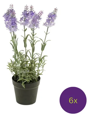 Produktbild von 6er Set künstlicher Lavendel lila im Topf H. 28cm D. 9cm Emerald Kunstblumen