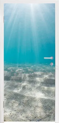 Produktbild von MuchoWow® Türtapete Selbstklebende Türfolie Sonnenlicht auf dem Meeresgrund 90x215 cm Türposter Türaufkleber Klebefolie Türklebefolie - Plakat an der Tür - Türsticker - Aufklebern