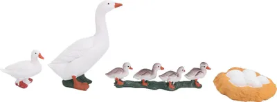 Produktbild von 4-stufiges Wachstumszyklus-Modell, Tier-Enten-Lebensmodelle, Lernspielzeug für Kinder