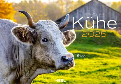 Produktbild von Kühe Kalender 2025 Wandkalender