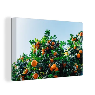 Obrázek produktu pro OneMillionCanvasses® Malba na plátně Nástěnná malba na plátně - Ovoce - pomeranč - strom - 150x100cm