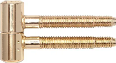 Produktbild von SOLIDO Einbohrband 2-tlg. mit Zylinderkopf, Holz, 16 mm,Stahl glanzvermessingt