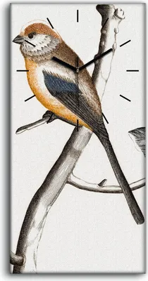 Produktbild von Küche Wohnzimmer Wand Leinwand Uhr 30x60 Zeichnung Tier Vogel Zweig Kunst - schwarze Hände