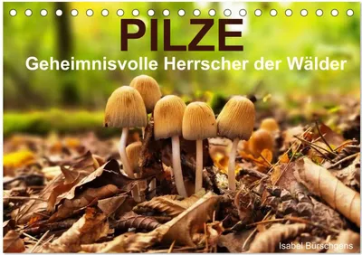 Produktbild von Pilze - Geheimnisvolle Herrscher der Wälder (Tischkalender 2027 DIN A5 quer), CALVENDO Monatskalender
