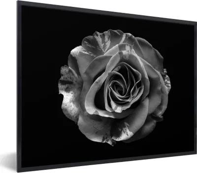 Produktbild von MuchoWow® Gerahmtes Poster Blumen - Rose - Schwarz - Weiß - Botanisch 40x30 cm - Poster mit Schwarzem Bilderrahmen Wandposter Rahmen Foto Bilder - Kunstposter - Wanddekorationen