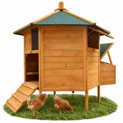 Produktbild von Hühnerhaus sechseckig aus Holz mit Nestbox & Rampe, Freigehege artgerecht