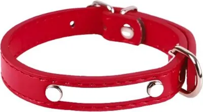 Obrázek produktu pro Obojek pro psy Luxury Winiw / Red S