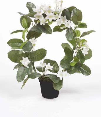 Produktbild von artplants.de Kunstblume Kranzschlinge Altay, weiß, 40cm - Kunstpflanze Stephanotis