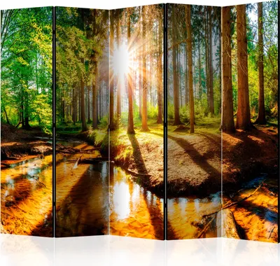 Produktbild von Akusticher Raumteiler Wald Foto Paravent 225x172 cm beidseitig auf Vlies-Leinwand bedruckt Akustikschaum Trennwand Spanische Wand Sichtschutz Home Office Bäume Natur Botanik Sonne c-B-0267-z-c