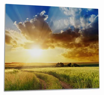 Produktbild von Wallario Herdabdeckplatte aus Glas, Größe 60 x 52 cm 1-teilig, Motiv Feldweg in den Sonnenuntergang