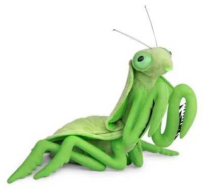 Image de Pluche Mantis : Jouet réaliste et doux