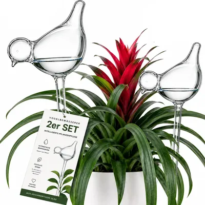 Produktbild von Bewässerungskugeln 2er Set Vögel Glas Gießkugeln Bewässerung Wasserspender