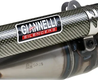 Image de Système d'échappement Giannelli Reverse, homologué (ABE), compatible avec Yamaha BWS 50 NG