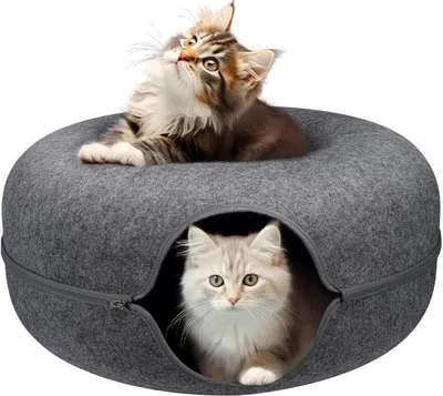 Two cats are inside and on top of a round, grey cat bed.