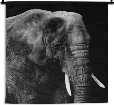 Produktbild von MuchoWow® Wandteppich Wandbehang Elefant - Tiere - Schwarz - Weiß 150x150 cm Tapisserie Dekoration Wandtuch - Wohnaccessoires - Modernes