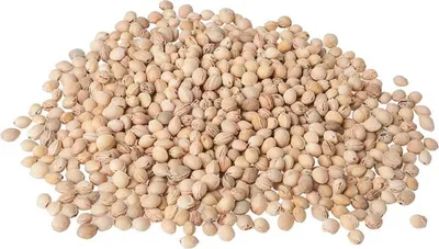 Produktbild von 10 kg Kirschkerne Lose für Kirschkernkissen Wärmekissen Gereinigt Kirschsteine