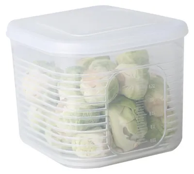 Image de Boîte de conservation pour oignons, gingembre et ail, organiseur pour réfrigérateur, réfrigérateur, conservation des aliments, cuisine, bac à légumes